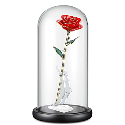 13"X 6" Glass Display Dome Cloche With Black Wood Base For Gold Rose Display, Antique Collectibles,Figurine,Decorative Showcase Display #TOP3