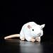 JZYZSNLB Peluche Extra Morbida Real Life Plush Giocattolo Lifelike Animali Animali PILITE Giocattoli BIRCAMENTO Regali di Natale di Compleanno (Color : White, Height : 17cm Long)