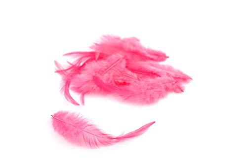 3g Hahnenkreuz Federn ca. 8-13cm (pink 156) // Dekofedern Bastelfedern Federn Hahn Natur Schmuckfedern Vogelfedern Hahnenfedern