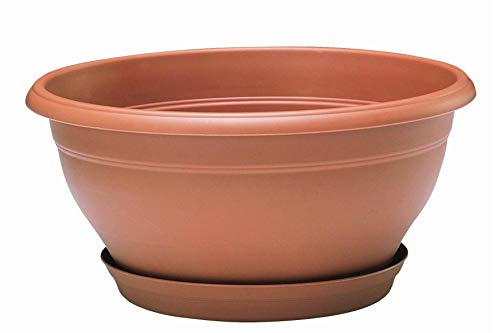 Poetic Jardin Loto Pot, Terracota Cover