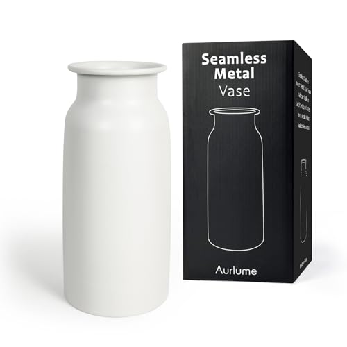 Vase en Métal Blanc Mat Moderne, Vase à Fleurs de 27,5 cm de Haut, sans Soudure et Étanche, Vase Décoratif Incassable pour Salon, Cuisine et Entrée