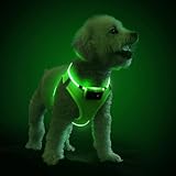 Pceotllar LED Dog Harness - Rechargeable, Flashing Light, No Pull, Reflective - Small/Medium, (Green S)