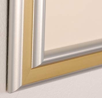 日本画　額装　ハイビスカス　湘丘作 日本画 額装 ハイビスカス 湘丘作