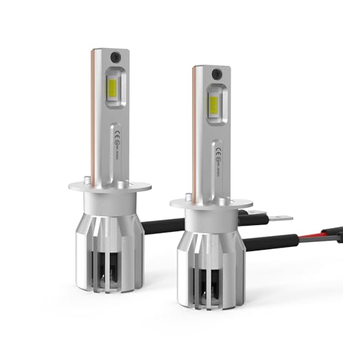 LUDUN H1 Halogen Auto Lampe 12V 60W – H1 Scheinwerferlampe mit Zulassung & E-Prüfzeichen – Extra Helles 6000K Weißlicht für Abblendlicht & Fernlicht - 2 Stück