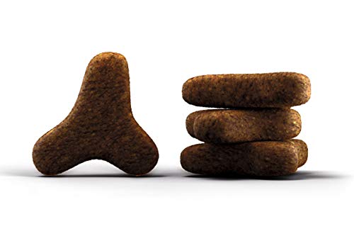 JOSERA SensiCat (1 x 400 g) | Adult | Premium Trockenfutter für ausgewachsene empfindliche Katzen | Geflügel & Reis | extra verträgliche Rezeptur | weizenfrei | Katzenfutter | 1er Pack