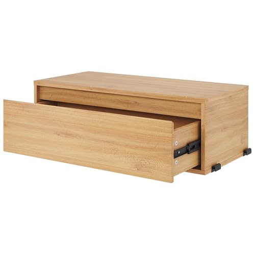 FLEXISPOT �X�`�[�����b�N CJ7 �L�b�`�����b�N 3�i 5�i ��80cm×���s37cm ���[�I �ω׏d10kg/�I �I�㉺�����\ �L���X�^�[�t�� �A�W���X�^�[�ɕt���ւ��\ �H��s�v �h�K (���[�v��, �����o��)