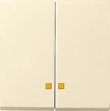 Gira 063101 Serienwippen Kontrollfenster System 55, cremeweiß