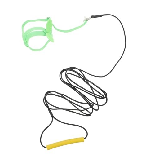 Mipcase 1pc Parrot Harness Leash Bird Flying Harness Traction Rope for Outdoor Pet Leash