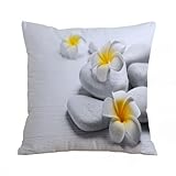 Taille idéale: Ces housses de coussin mesurent 18 x 18 pouce （45 x 45 cm）, parfaites pour s'adapter à la plupart des coussins standard, ajoutant une touche de confort et de style à votre espace.
