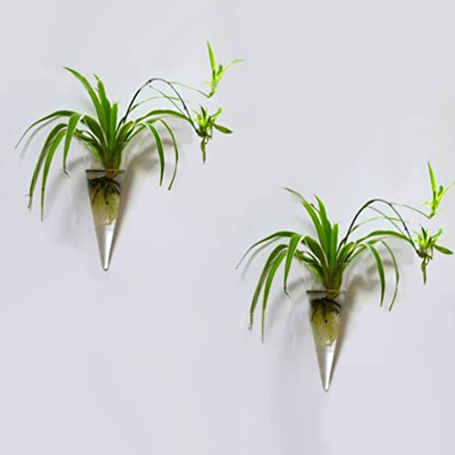 Healeved 1Pc Wall Hanging Planter Glass Circular Cone Vase Clear Glass Vase Propagation Station For Plant Flower Home Decor #TOP1