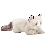 gatitos ragdoll en venta Tamaño for acurrucarse: mide aproximadamente 48 cm (largo), 16 cm (ancho), 19 cm (alto) y pesa 250 g, esta muñeca es lo suficientemente grande como for satisfacer a los abrazos y, al mismo tiempo, es lo suficientemente liviana for transportarla.