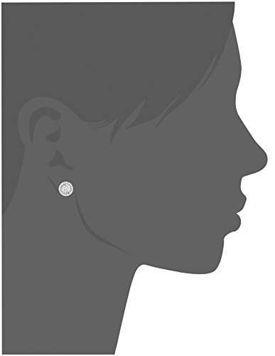 Amazon Collection Sterling Silver Diamond Round Stud Earrings (1/2 Cttw) #TOP1