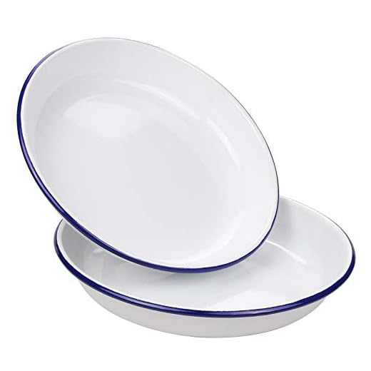 Webake 9.5 Inch Enamel Plates, 2 Pack Salad Pasta Bowls Enamelware Dinner Plates White Body with Blue Rim, Serving Trays for Dinner, Outdoor, Picnic, BBQ, Butter