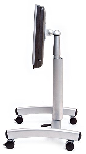 Preisvergleich Produktbild ROLINE LCD Rollständer