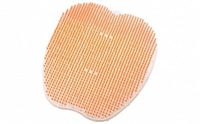 フットグルーマーグラン サンシャイン