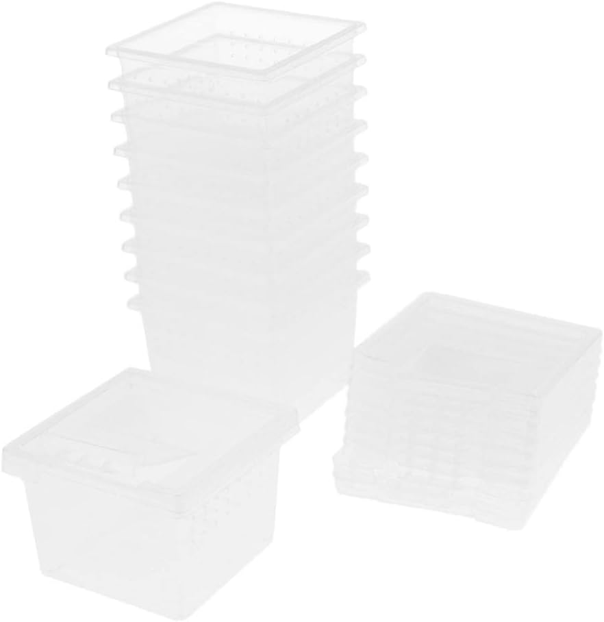 Fenteer Reptile Containers Insect Box Portable Transparent Modern Terrarium for Reptiles Pack of 10