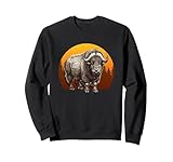 Musk Ox Gifts Muskoxen