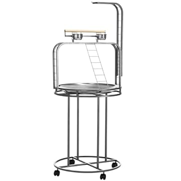 Bird Perch for Rolling Stand: Which 5 Will Transform Your Space? 2 bird perch for rolling stand