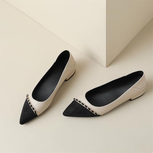 Women's Cap Closed Pointed Toe Pumps Low Block Heel Slip-On Work Office Church Casual Dress Basic Metallic Two Toned Shoes Business Comfortable Party All Weather Daily Wear Flats2