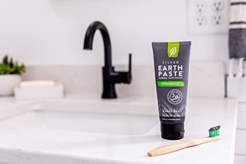 Redmond Earthpaste With Silver - Natural Non-Fluoride Charcoaltoothpaste, 4 Ounce Tube (Spearmint Charcoal) #TOP2