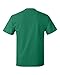 Hanes - Tagless 100% Cotton T-Shirt. 5250 3XL Kelly Green
