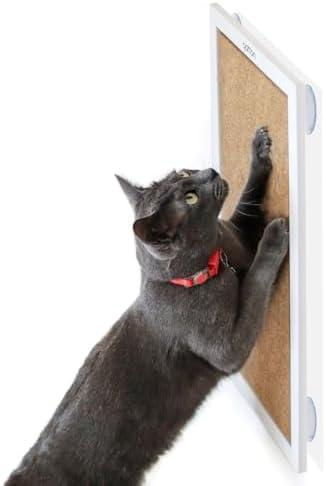 Arranhador com Ventosas para Gatos, ...