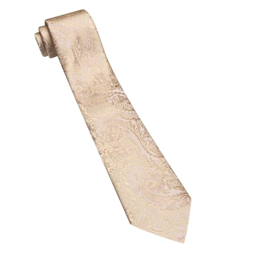 Image of Barry.Wang Paisley Tie for Men Silk Woven Necktie and Tie Clip Set Wedding Party Business Formal