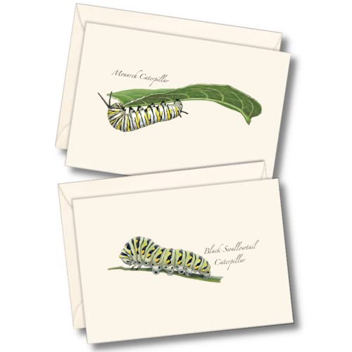 Image of Earth Sky + Water - Caterpillar Assortment Notecard Set - 8 Blank Cards with Envelopes (4 each of 2 styles)