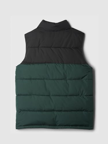 GAP Boys' Puffer Vest2