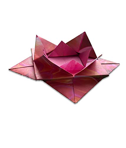 Origami Paper 200 Sheets Nature Photos 8 1/4