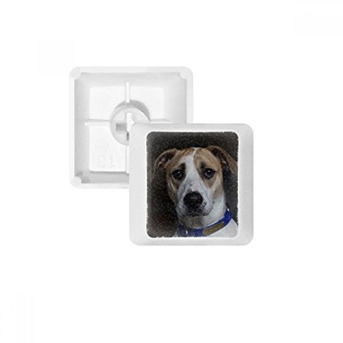 Keycaps PBT clavier mécanique Chien Foncé blanc OEM R3 sans marquage