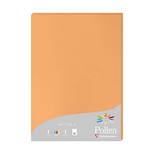 Clairefontaine - Clairefontaine 24208C - Étui de 25 Feuilles - Format A4 (21x29,7cm) - 210g/m² - Coloris Clémentine - Papier d'Invitation Evènements et Correspondance - Gamme Pollen - Papier Premium Lisse