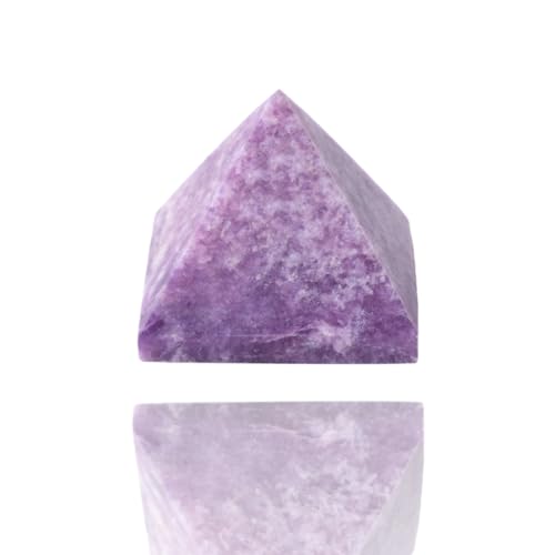 VRNX^s~bh z[fR efރGlM[ KEґzɍœK ItBXfR fR av[g (ނ炳 )