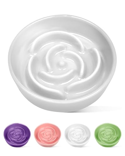 TRUVIC セラミック製スローフィーダー犬用ボウル（小型犬用）、0.6カップ スローフィーダー猫用ボウル（早食い用）、セラミック製犬用フード皿（あごが黒くならない）、小型犬と猫用パズルボウル（ホワイト）