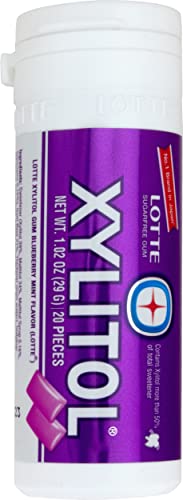 Lotte Xylitol Blueberry Mint Gum 1.02 OZ (Pack of 1)