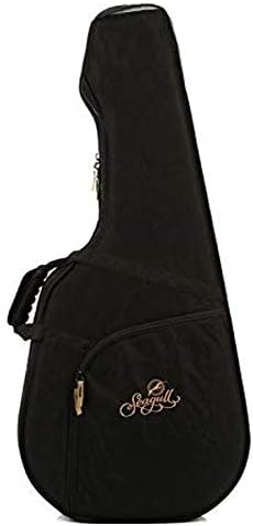 Amazon.com: Godin (40100) - Funda para guitarra acústica : Instrumentos  Musicales