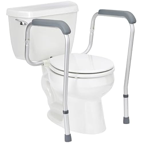 Medline Toilet Handle Safety Rail, Aluminum Grab Bar for Bathroom, 27.5" to 32" Adjustable Height, 250-lb. Capacity