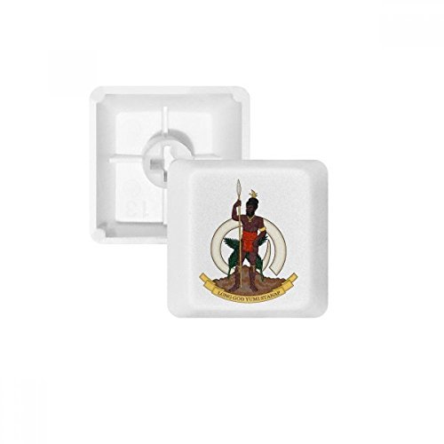 Keycaps PBT Vanuatu Oceania pour clavier mécanique blanc OEM épuré