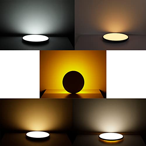 Smart Ceiling Light with Music Speaker