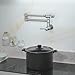 IMLEZON Stainless Steel Pot Filler Faucet Commercial Wall Mount Kitchen Sink Faucet Folding Stretchable with Single Hole Two Handles