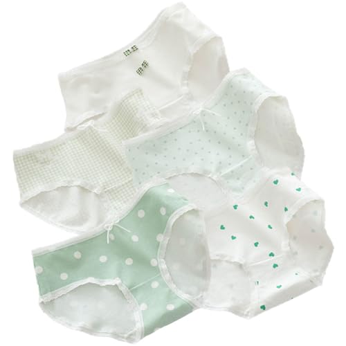 5 Pack of Big Youth Girls Multi Colors Underwear Stretchy Breathable Comfort Hipster Brief Set Panties