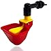 6 Pack NO PECK Automatic Poultry Watering Drinker Cups Float Style Gravity Feed Waterers Chicks Chicken Duck Quail (Hardware Included) Chooks Bebederos para Gallinas