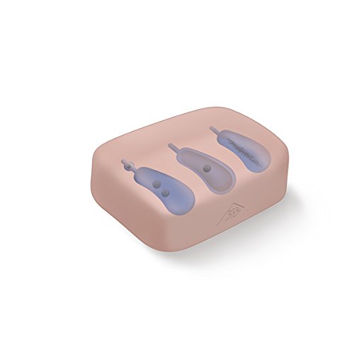 Image of 3B Scientific 1019638 Sonotrain Gallbladder Model, Grade: 1 to 12