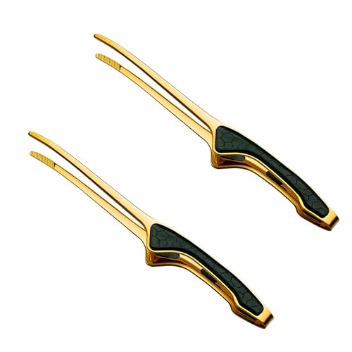 LLiKZio gO ē XeX Lv o[xL[  p g pX^ (2{Zbg)24cm [ XŒ݂͂₷ ׂ~߉H HΉ([)yĕ֗ SϖՐ Ώh~nh݌viS[h+΂̃nh