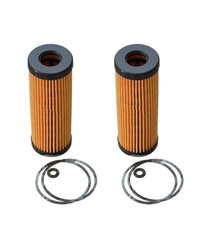 Filtro transmisión automática Filtro Aceite Para Coche (2 Unidades) Para FORD F150 2.7T EDGE GTDi 4WD 2015 Para LINCOLN AVIATOR SUVpara PHEV Con Tracción Total 2019: FT4E-6714-AA