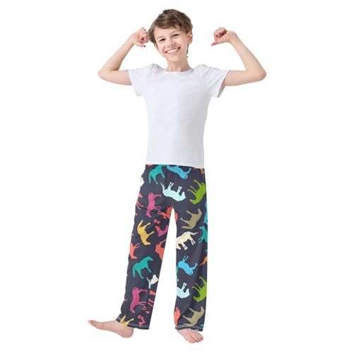 ZZXXB Colorful Horse Boys Long Pants Soft Trousers Elastic Waist Kids Lounge Bottoms with Pockets S-XL2