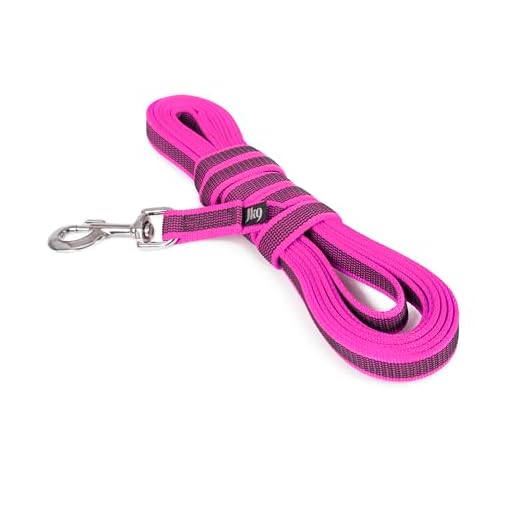 IDC Color & Gray gumierte Leine, 20 mm x 5 m mit Schlaufe, Pink-Grau