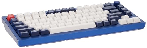 Image of Q1 Swappable RGB Backlight Blue Switch Knob Version - Blue