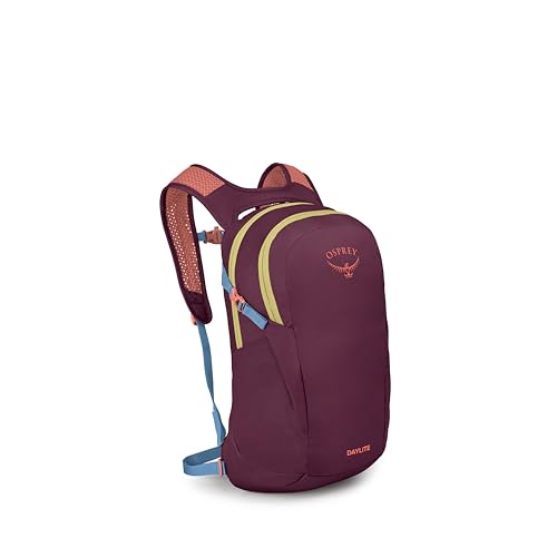 Osprey Daylite Commuter Backpack