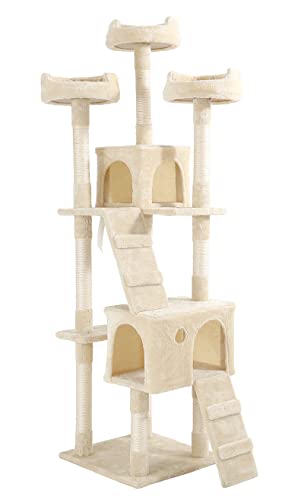 R Lbg^[ u X ܂Ƃ B W]   (x[W, 49cm x 48cm x 184cm)